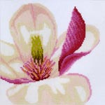     Magnolia flower - 