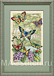 Butterfly Forest -  