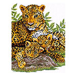 Leopard family