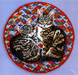 Moppet and Emu on amish log quilt