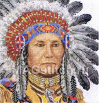     Native american - 