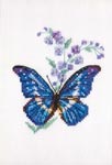        - Polemonium and butterfly