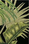   3 - Palm leaves 3